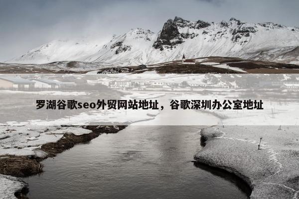 罗湖谷歌seo外贸网站地址，谷歌深圳办公室地址