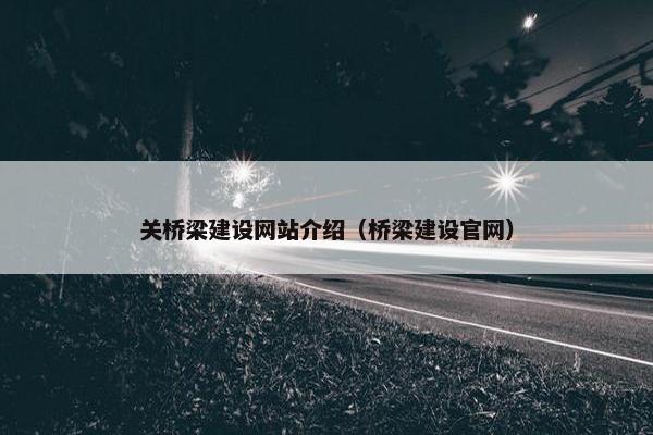关桥梁建设网站介绍（桥梁建设官网）