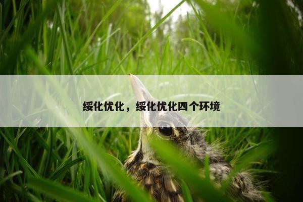 绥化优化，绥化优化四个环境