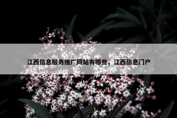 江西信息服务推广网站有哪些，江西信息门户