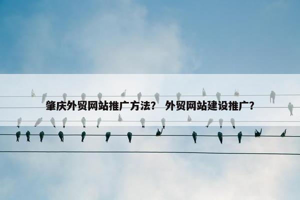 肇庆外贸网站推广方法？ 外贸网站建设推广？