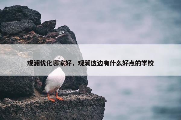 观澜优化哪家好，观澜这边有什么好点的学校