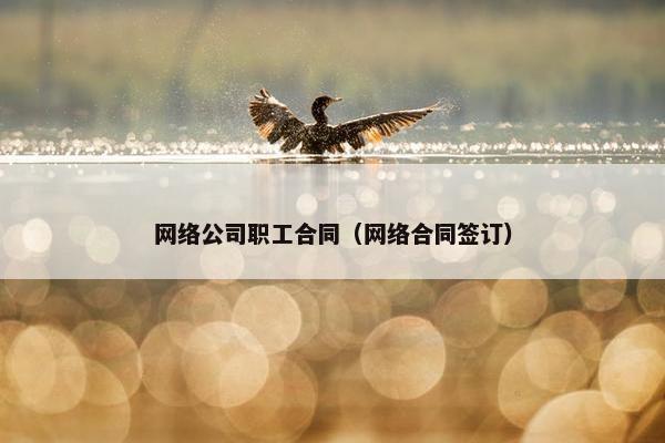 网络公司职工合同（网络合同签订）