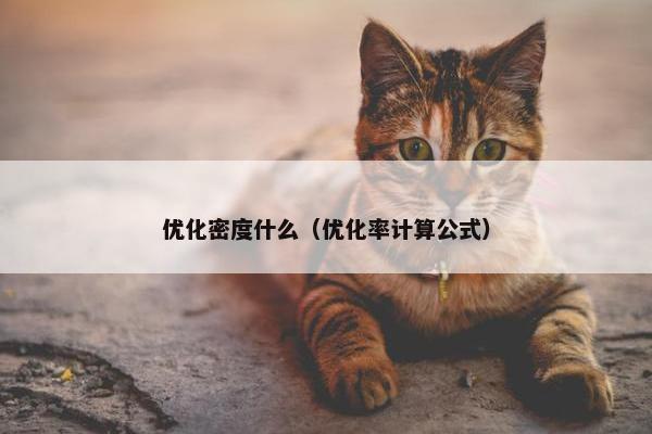 优化密度什么（优化率计算公式）
