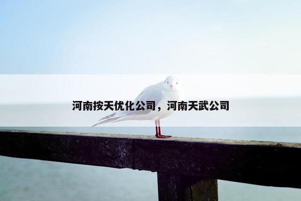 河南按天优化公司，河南天武公司
