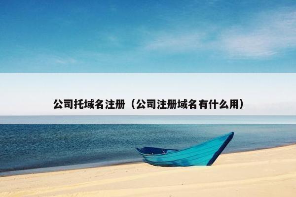 公司托域名注册（公司注册域名有什么用）