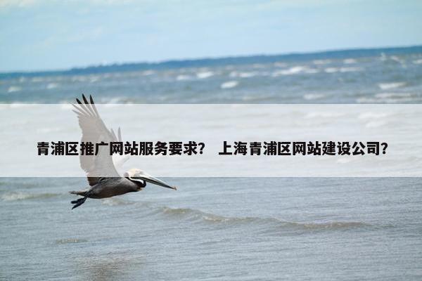 青浦区推广网站服务要求？ 上海青浦区网站建设公司？