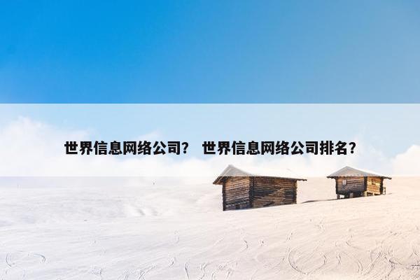世界信息网络公司？ 世界信息网络公司排名？