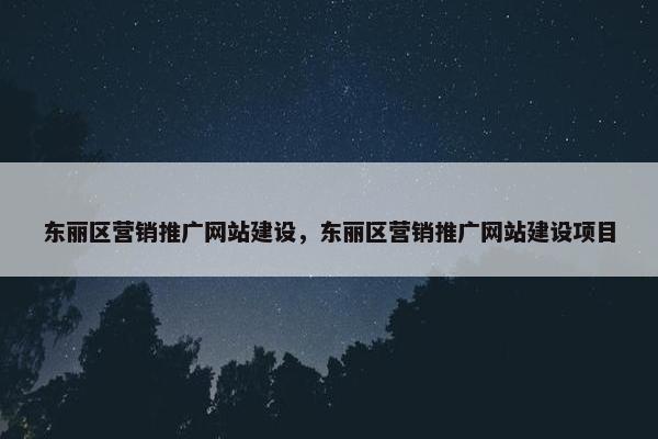 东丽区营销推广网站建设，东丽区营销推广网站建设项目