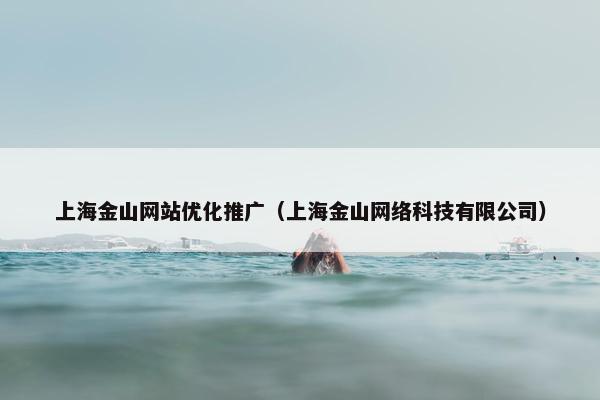 上海金山网站优化推广（上海金山网络科技有限公司）