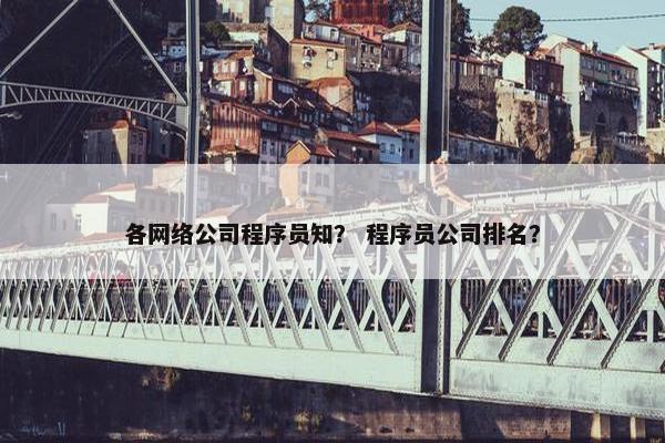 各网络公司程序员知？ 程序员公司排名？