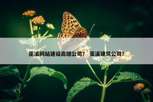 巫溪网站建设高端公司？ 巫溪建筑公司？