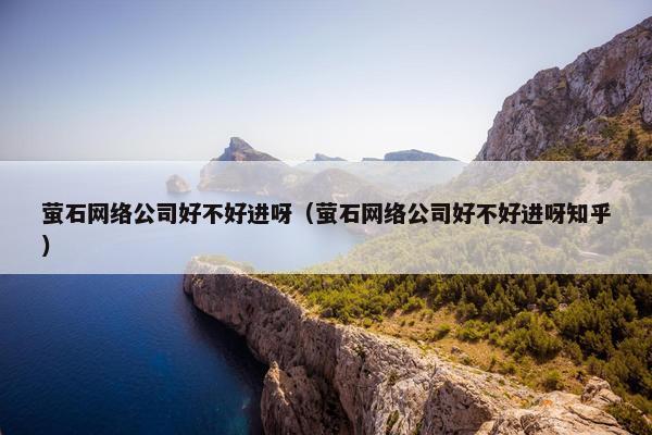 萤石网络公司好不好进呀（萤石网络公司好不好进呀知乎）