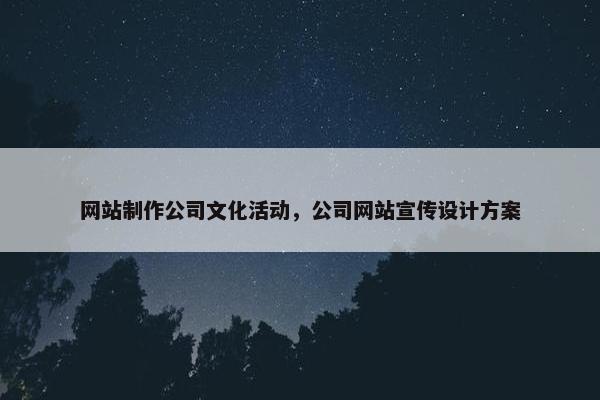 网站制作公司文化活动，公司网站宣传设计方案