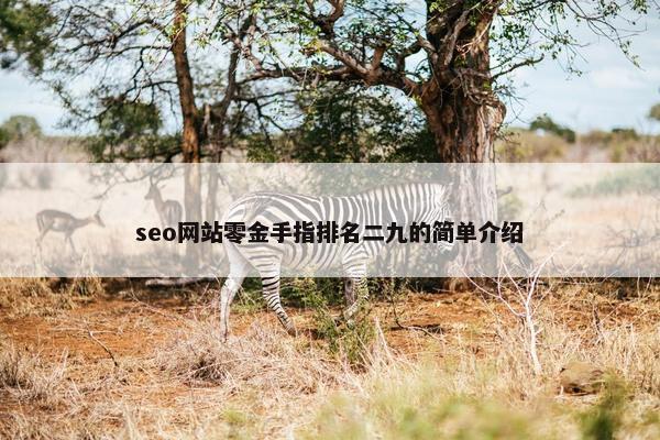 seo网站零金手指排名二九的简单介绍 seo网站零金手指排名二九的简单介绍