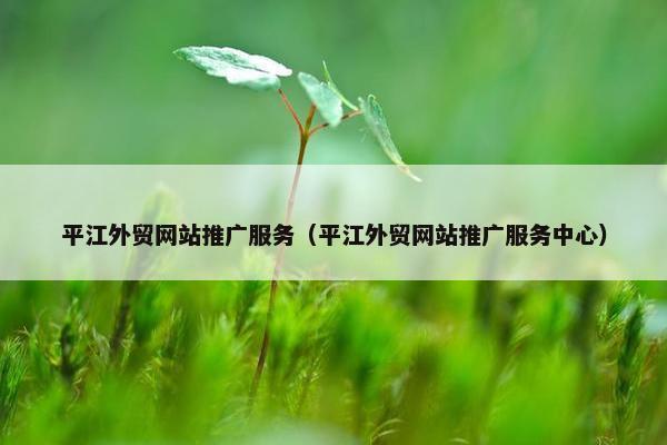 平江外贸网站推广服务（平江外贸网站推广服务中心）