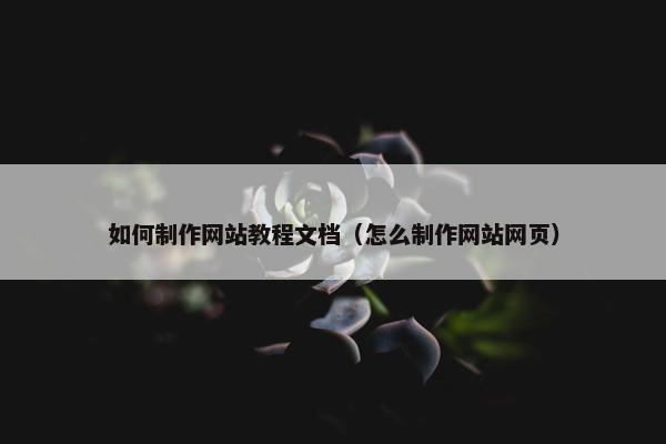 如何制作网站教程文档（怎么制作网站网页）
