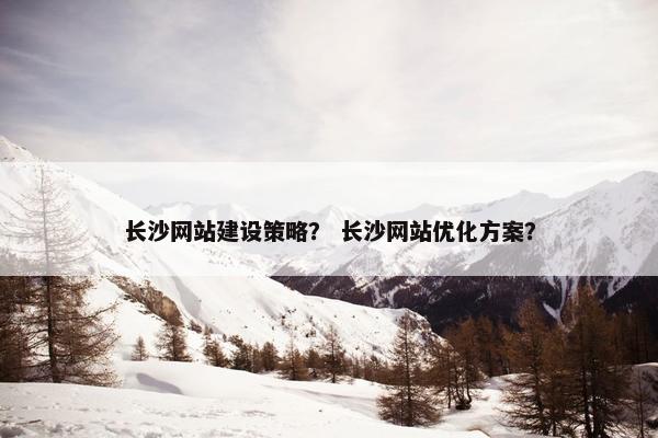 长沙网站建设策略？ 长沙网站优化方案？