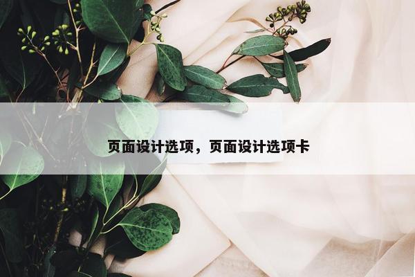 页面设计选项，页面设计选项卡