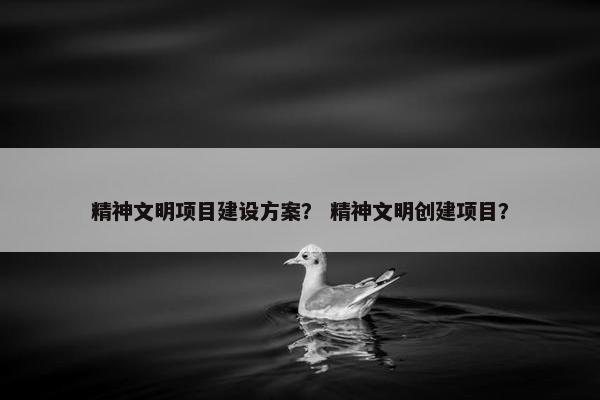 精神文明项目建设方案？ 精神文明创建项目？