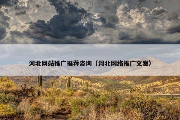 河北网站推广推荐咨询（河北网络推广文案）