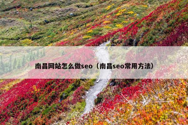 南昌网站怎么做seo（南昌seo常用方法）
