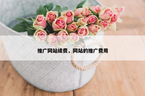 推广网站续费，网站的推广费用