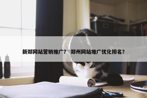 新郑网站营销推广？ 郑州网站推广优化排名？