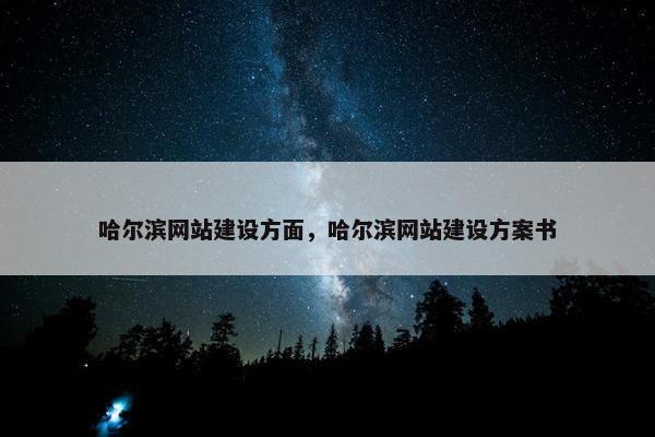 哈尔滨网站建设方面，哈尔滨网站建设方案书