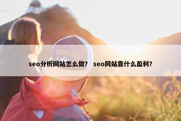 seo分析网站怎么做？ seo网站靠什么盈利？