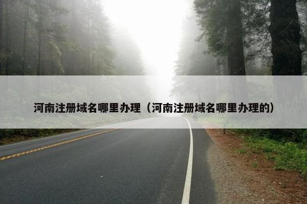 河南注册域名哪里办理（河南注册域名哪里办理的）