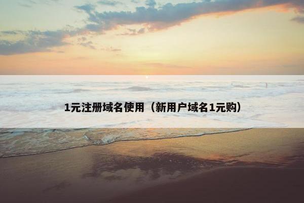 1元注册域名使用（新用户域名1元购）