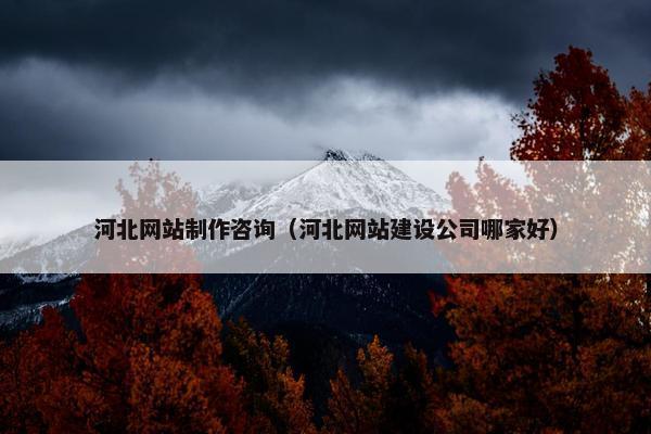 河北网站制作咨询（河北网站建设公司哪家好）