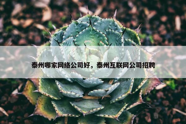 泰州哪家网络公司好，泰州互联网公司招聘