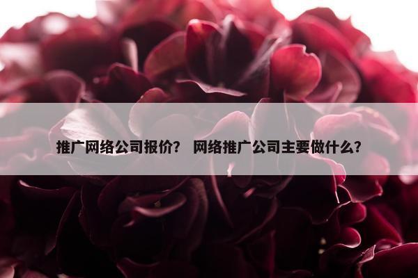 推广网络公司报价？ 网络推广公司主要做什么？