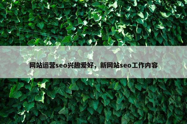 网站运营seo兴趣爱好，新网站seo工作内容