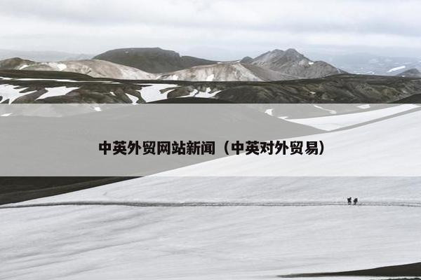 中英外贸网站新闻（中英对外贸易）