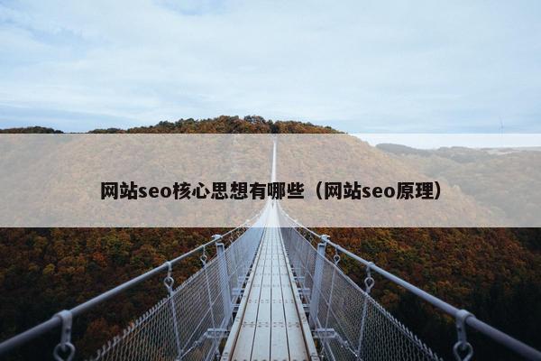 网站seo核心思想有哪些（网站seo原理）
