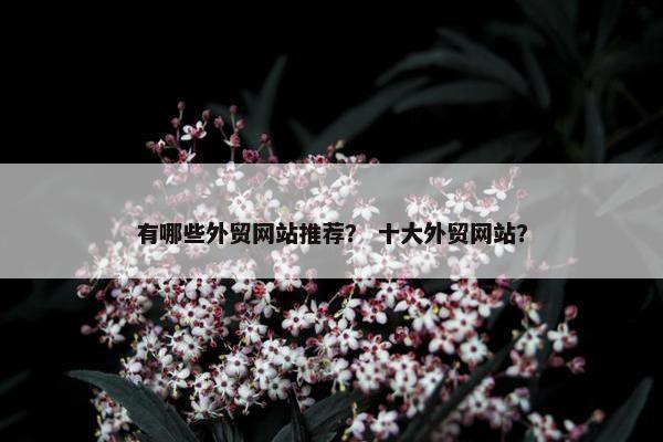 有哪些外贸网站推荐？ 十大外贸网站？