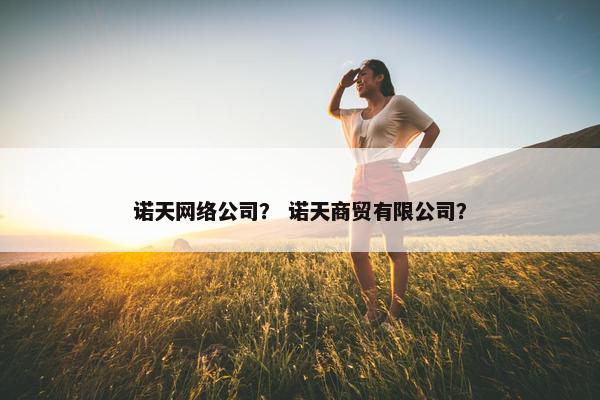 诺天网络公司？ 诺天商贸有限公司？