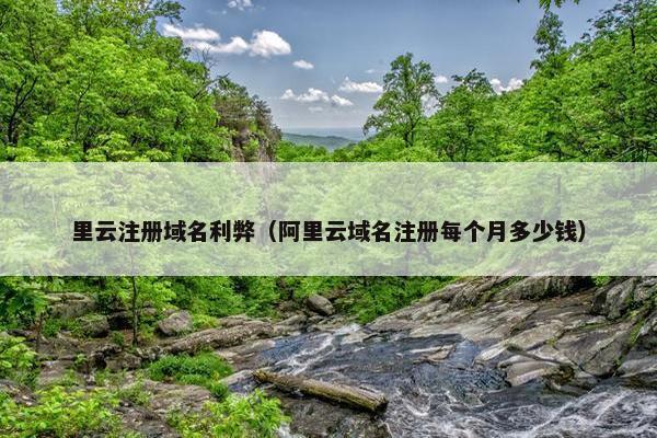 里云注册域名利弊（阿里云域名注册每个月多少钱）