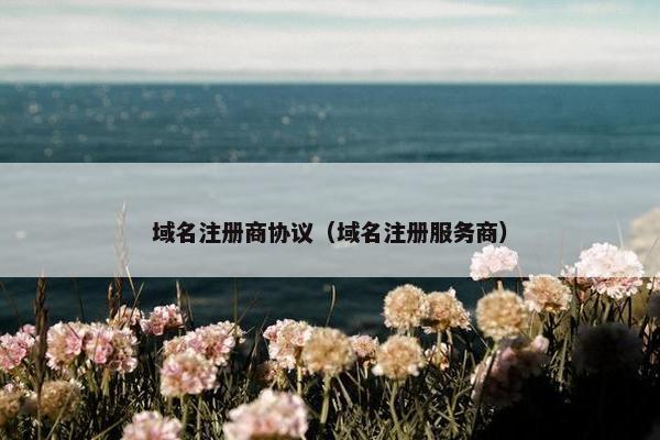 域名注册商协议（域名注册服务商）