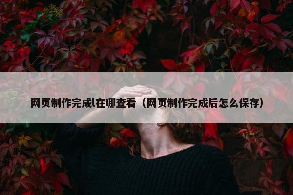 网页制作完成l在哪查看（网页制作完成后怎么保存）