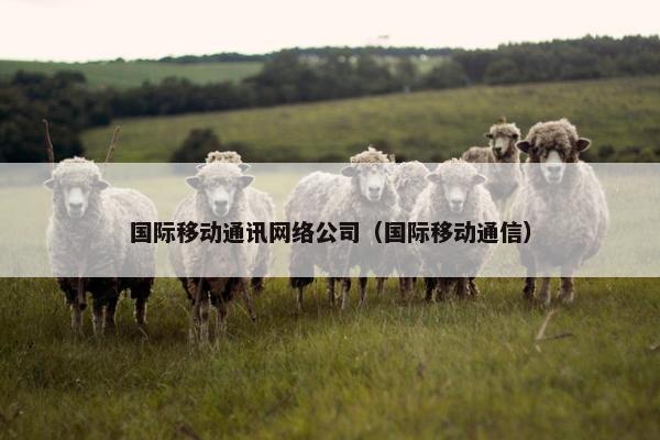 国际移动通讯网络公司（国际移动通信）