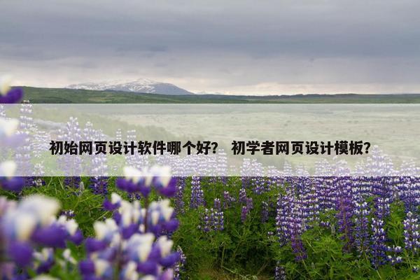 初始网页设计软件哪个好？ 初学者网页设计模板？
