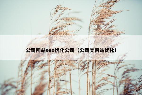 公司网站seo优化公司（公司类网站优化）