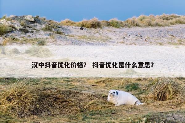 汉中抖音优化价格？ 抖音优化是什么意思？