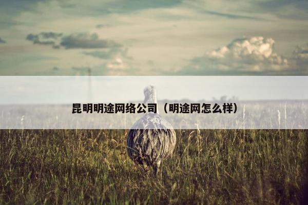 昆明明途网络公司（明途网怎么样）