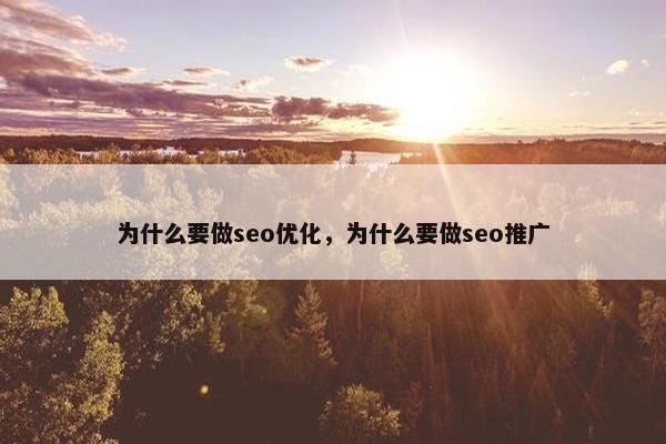 为什么要做seo优化，为什么要做seo推广