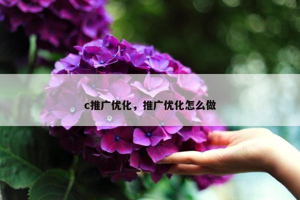 c推广优化，推广优化怎么做